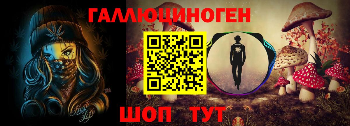 Галлюциногенные грибы Psilocybine cubensis  Галлюциногенные грибы Cubensis  Вход с VPN  Дмитров 